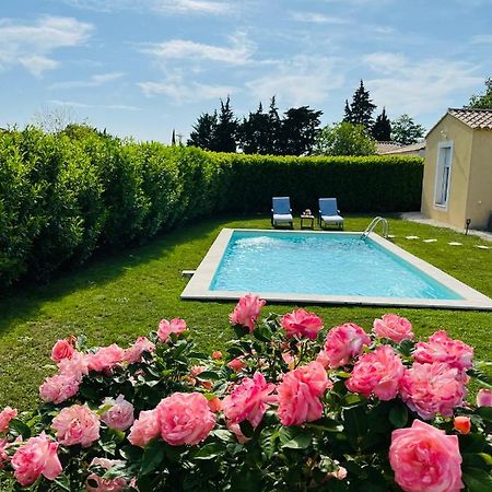 Hotel Un Coin Tropical En Provence ! LʼIsle-sur-la-Sorgue Exterior foto